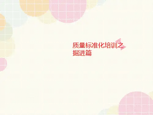 质量标准化培训之掘进篇-课件