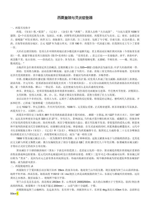 宋元考古 西夏皇陵与灵武窑瓷器