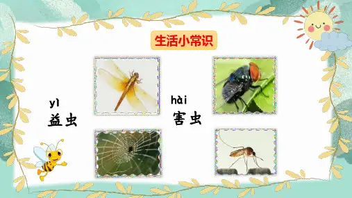 《动物儿歌》课件ppt