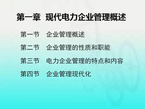 第一章 现代电力企业管理概论