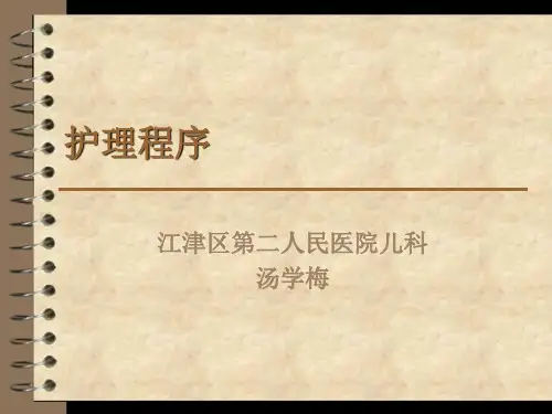 护理程序