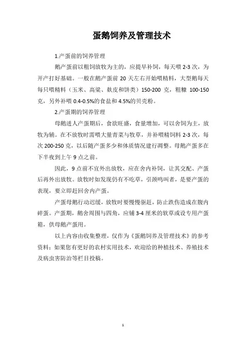 蛋鹅饲养及管理技术