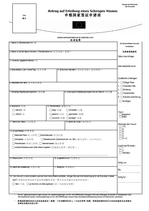 VisumantragChin 申根签证表格