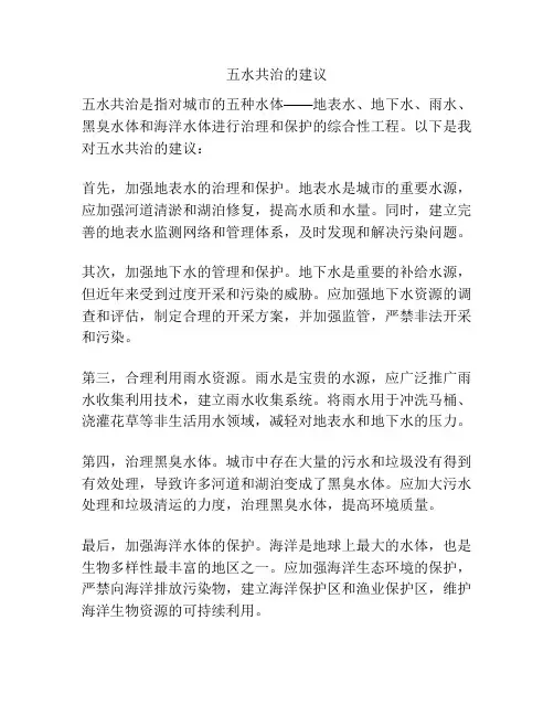 五水共治的建议