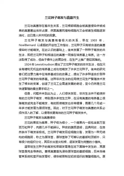 兰花种子萌发与真菌共生