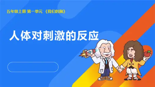2024年湘教版五年级科学上册1.1人体对刺激的反应(课件)