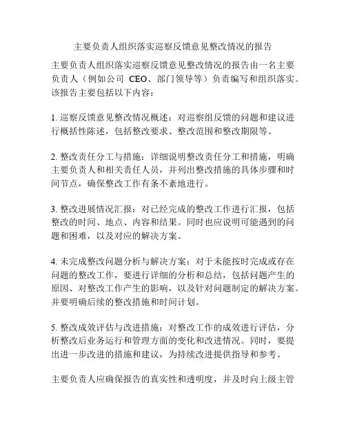 主要负责人组织落实巡察反馈意见整改情况的报告