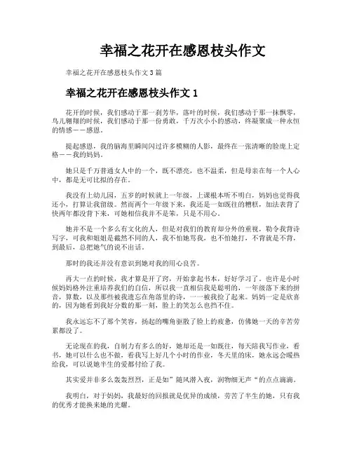 幸福之花开在感恩枝头作文