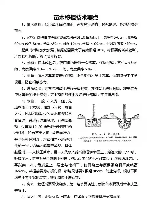 苗木种植技术标准