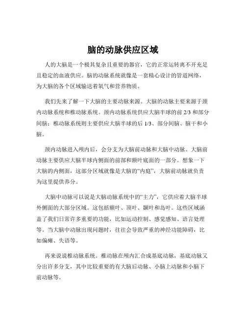 脑的动脉供应区域