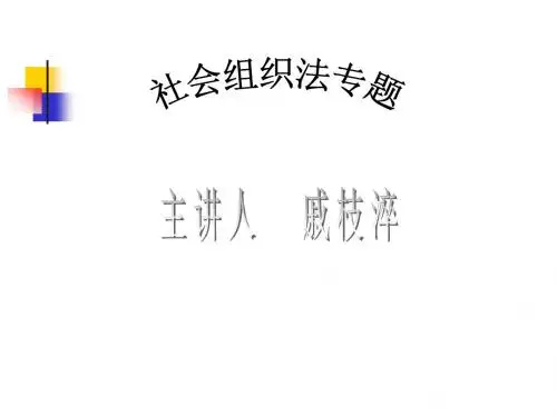 第一讲 社会组织概述ppt课件