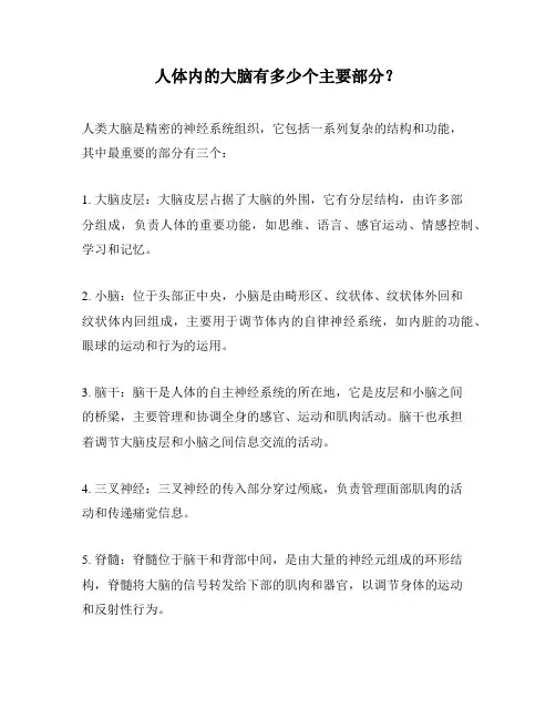 人体内的大脑有多少个主要部分？