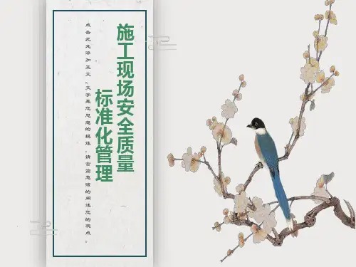 施工现场安全质量标准化管理