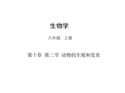 10.2+动物的生殖和发育(课件)八年级生物上册(北京版)
