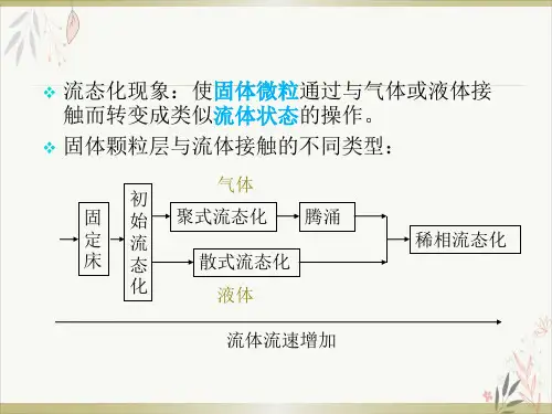 流化床基础PPT课件