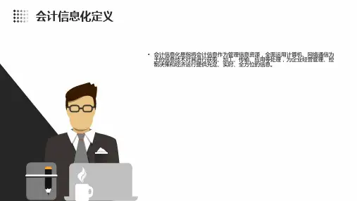 《会计信息化概述》课件