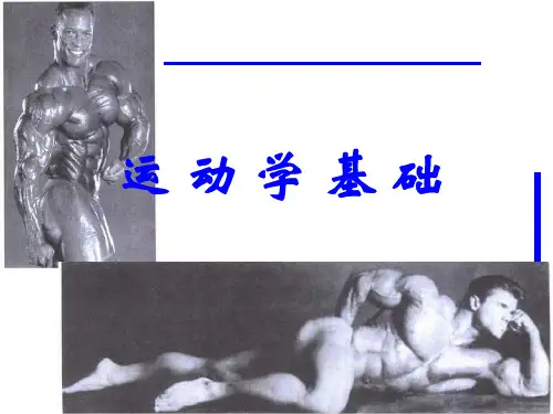 运动学基础
