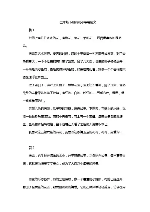 三年级下册荷花小练笔范文