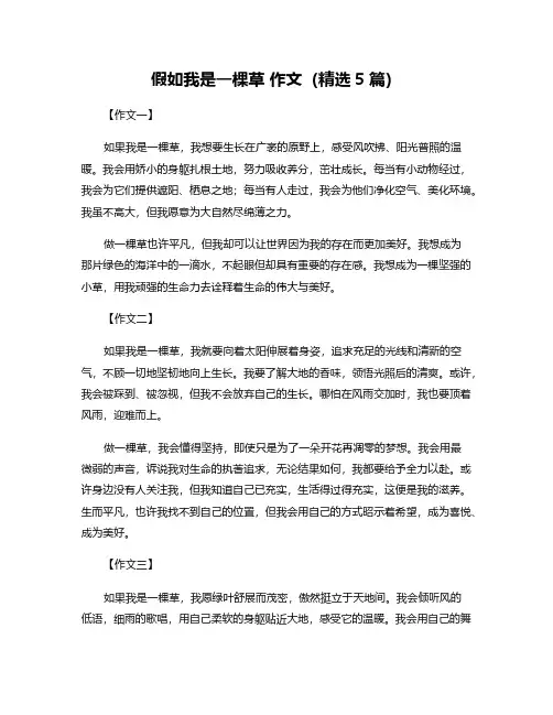 假如我是一棵草 作文(精选5篇)