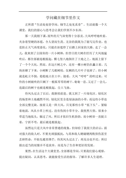 学问藏在细节里作文