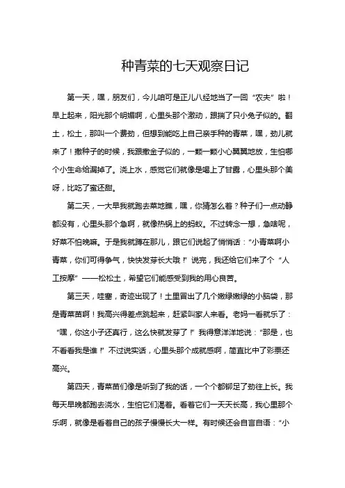 种青菜的七天观察日记