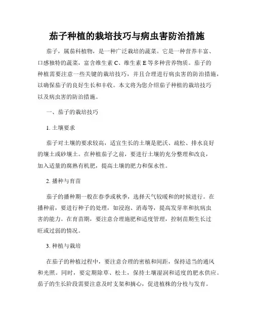 茄子种植的栽培技巧与病虫害防治措施