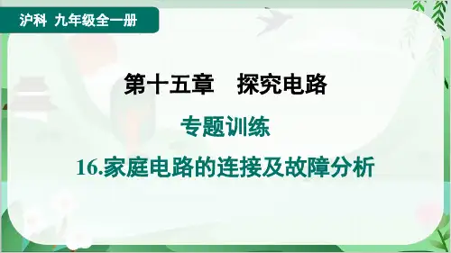 2024年沪科版九年级物理专题训练16.家庭电路的连接及故障分析