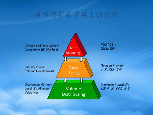IBM公司的销售渠道管理概述