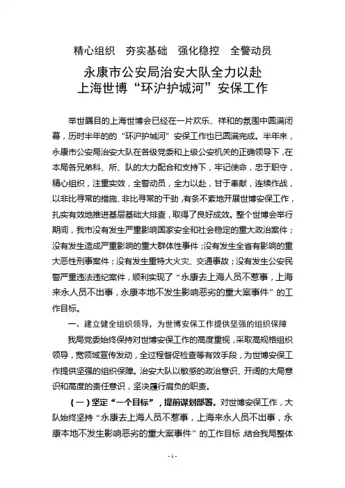 治安大队世博安保工作总结