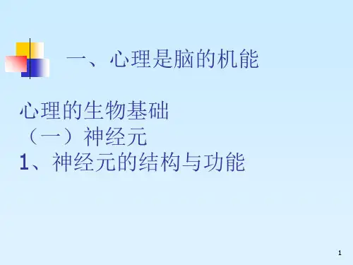 第二章+心理的实质_PPT幻灯片