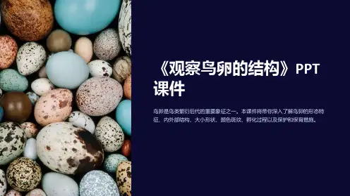 《观察鸟卵的结构》课件