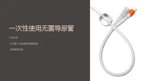 一次性使用无菌导尿管