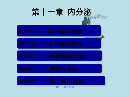 第十一章内分泌