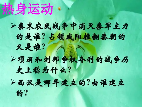 “休养生息”与“文景之治”ppt1 华东师大版