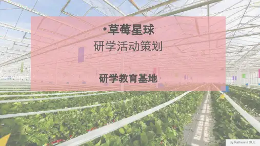 研学活动策划ppt