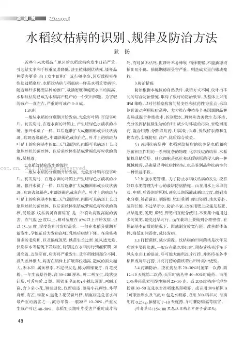 水稻纹枯病的识别、规律及防治方法