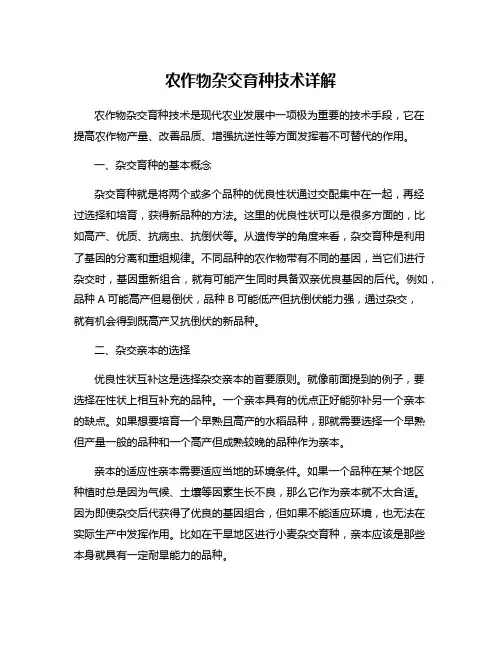 农作物杂交育种技术详解