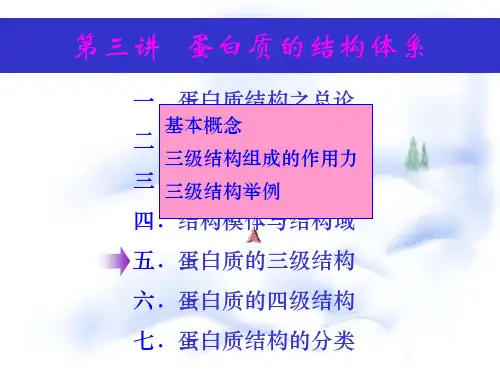 第4讲 蛋白质的结构体系III