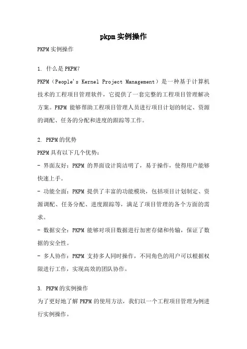 pkpm实例操作