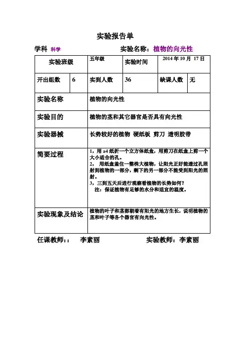 五年级植物的向光性实验报告单