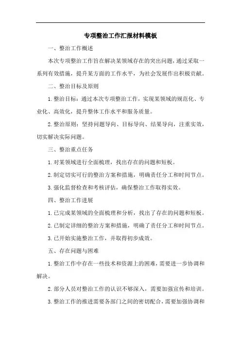 关于专项整治工作汇报材料模板