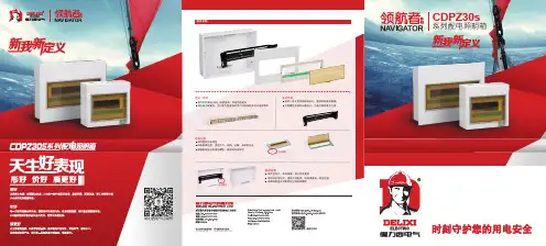 德力西电气 CDPZ30S 配电箱样本 产品说明书