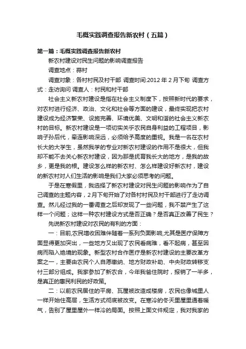 毛概实践调查报告新农村（五篇）