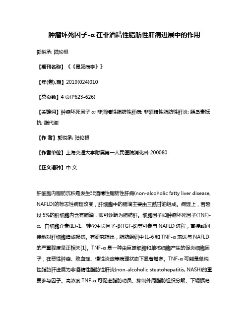 肿瘤坏死因子-α在非酒精性脂肪性肝病进展中的作用