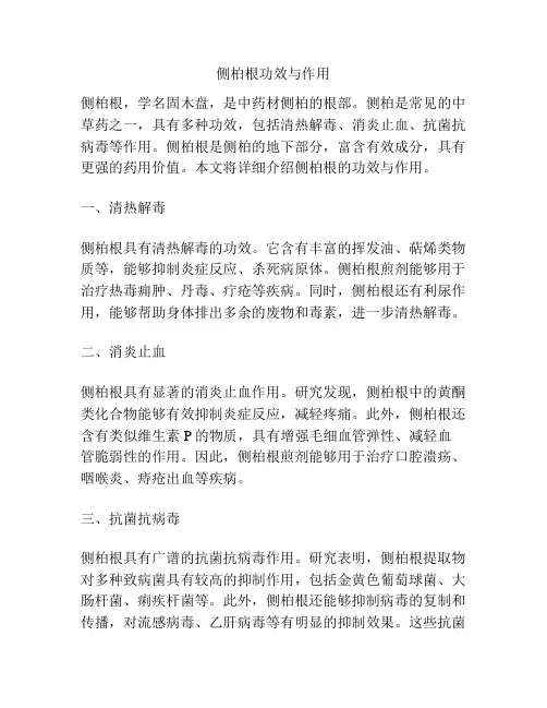 侧柏根功效与作用