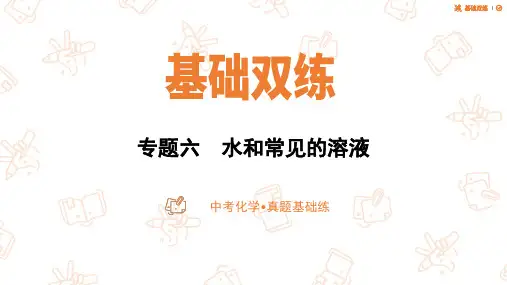 2023中考化学基础双练之真题练：专题六 水和常见的溶液课件(共75张PPT)