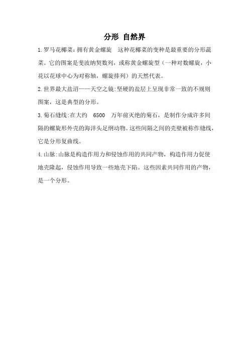 分形 自然界