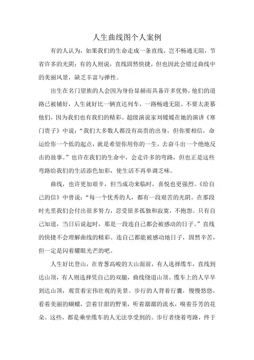 人生曲线图个人案例