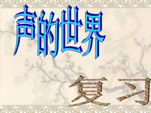声的世界--复习课课件