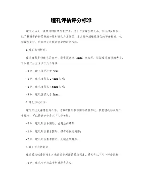 瞳孔评估评分标准
